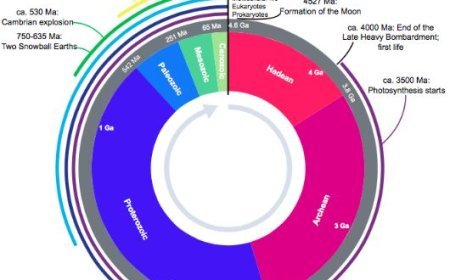 HUMAN FATALITIES THROUGH GEOLOGICAL TIME