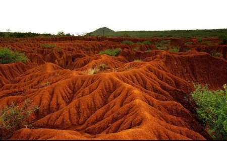 SOIL EROSION  CAUSES, CONSEQUENCES AND CONSERVATION STRATEGIES