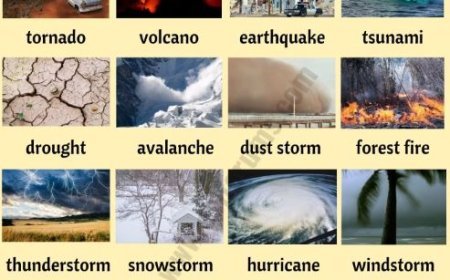DISASTER SOURCES IN ENVIRONMENTAL GEOLOGY