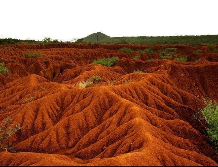 SOIL EROSION  CAUSES AND CONSEQUENCES