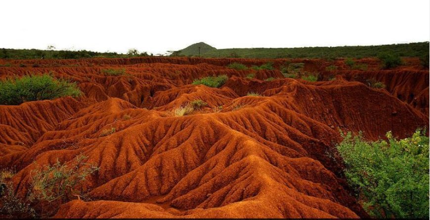 SOIL EROSION  CAUSES, CONSEQUENCES AND CONSERVATION STRATEGIES