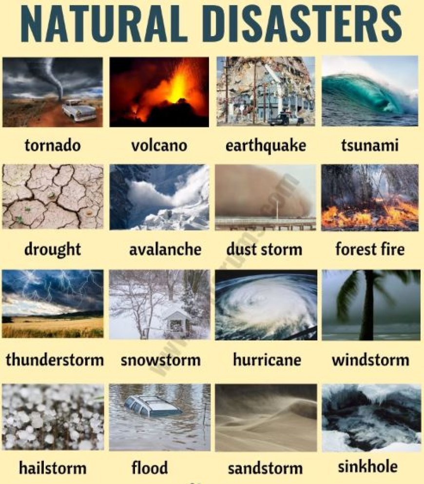 DISASTER SOURCES IN ENVIRONMENTAL GEOLOGY