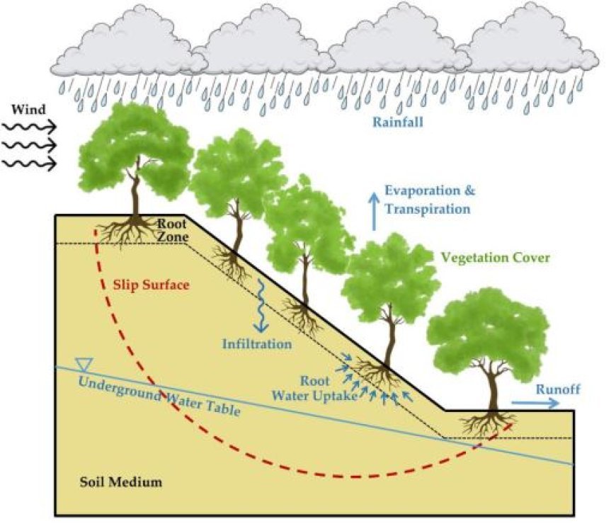 CRITICAL FACTORS AFFECTING SLOPE STABILITY