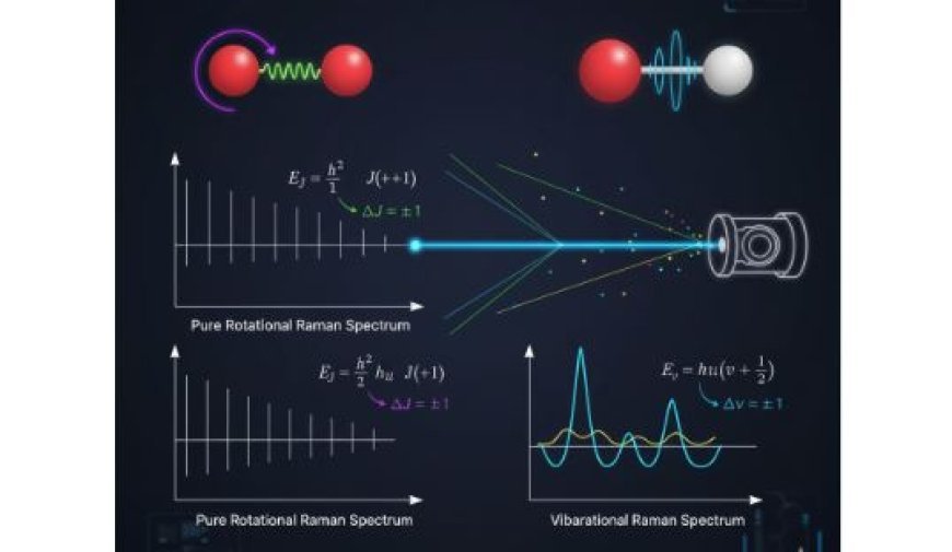 Pure Rotational and Vibrational Raman Spectra of Diatomic Molecules