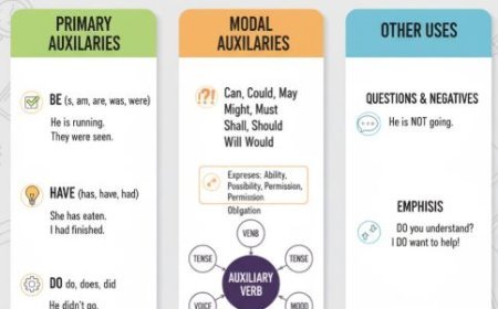 AUXILIARY VERBS IN ENGLISH