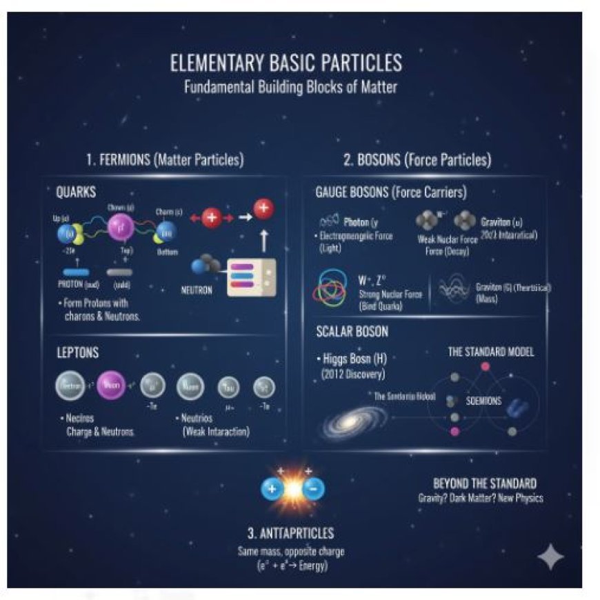 Types of Basic Particles